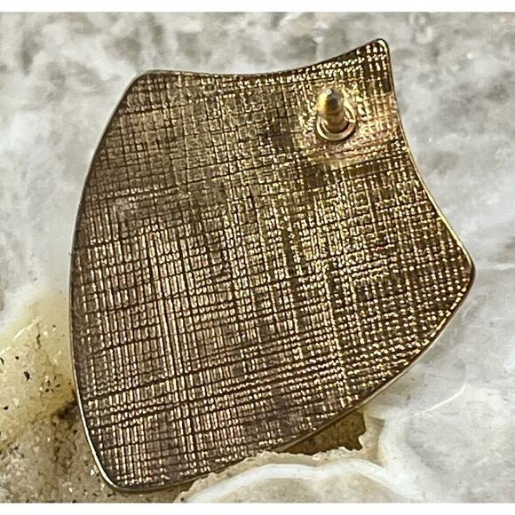 CAP HIGH SCHOOL Pin 10 Year Anniversary Faceted Stone Brooch Sheild Scroll Pin - Picture 5 of 7